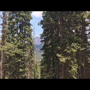 Meet your Posher, Lindsay